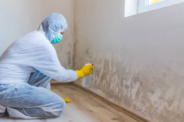 Licensed Mold Remediation service in Fort Worth, TX - 24 Hour Mold Removal
