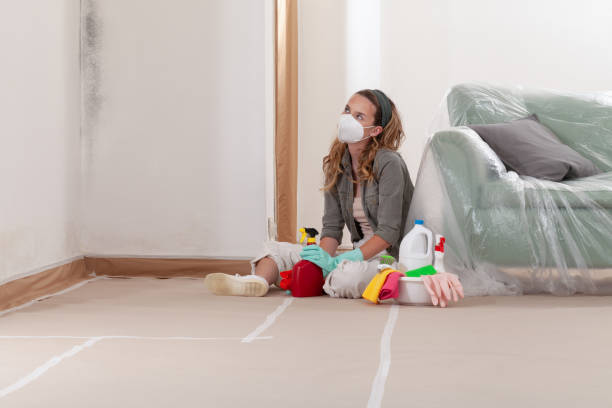 Reliable Mold Remediation contractor in Fort Worth, TX by 24 Hour Mold Removal