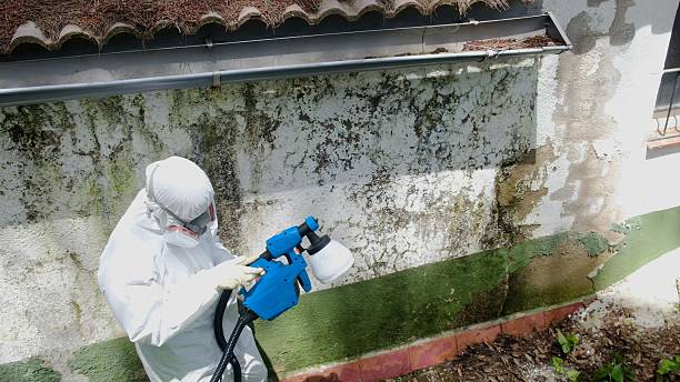 Top rated local Mold Remediation specialists in Fort Worth, TX